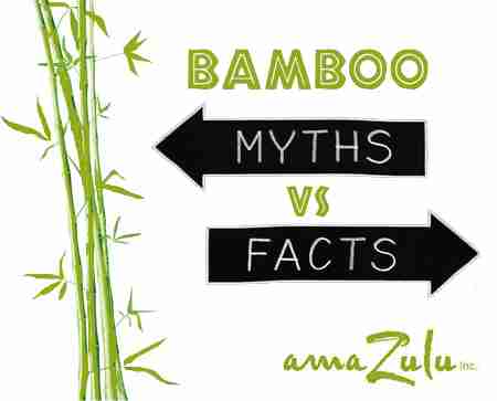 Bamboo Facts and Myths Exposed!