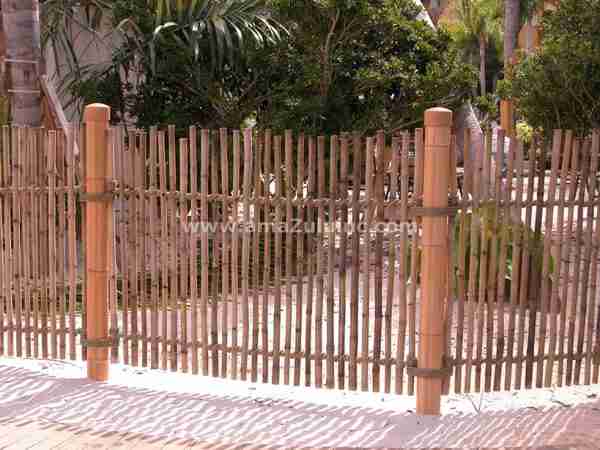 Rustic Bamboo Fence