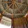 Tahiti Thatch - Image 11