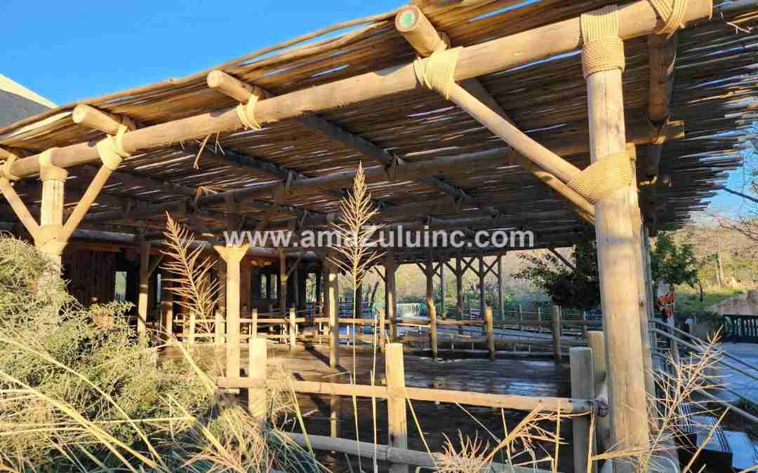 6 Tropical Restaurant Patio Ideas to Enhance Guest Experience