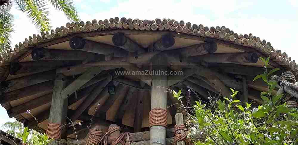 Eucalyptus Roof Jurrasic Park