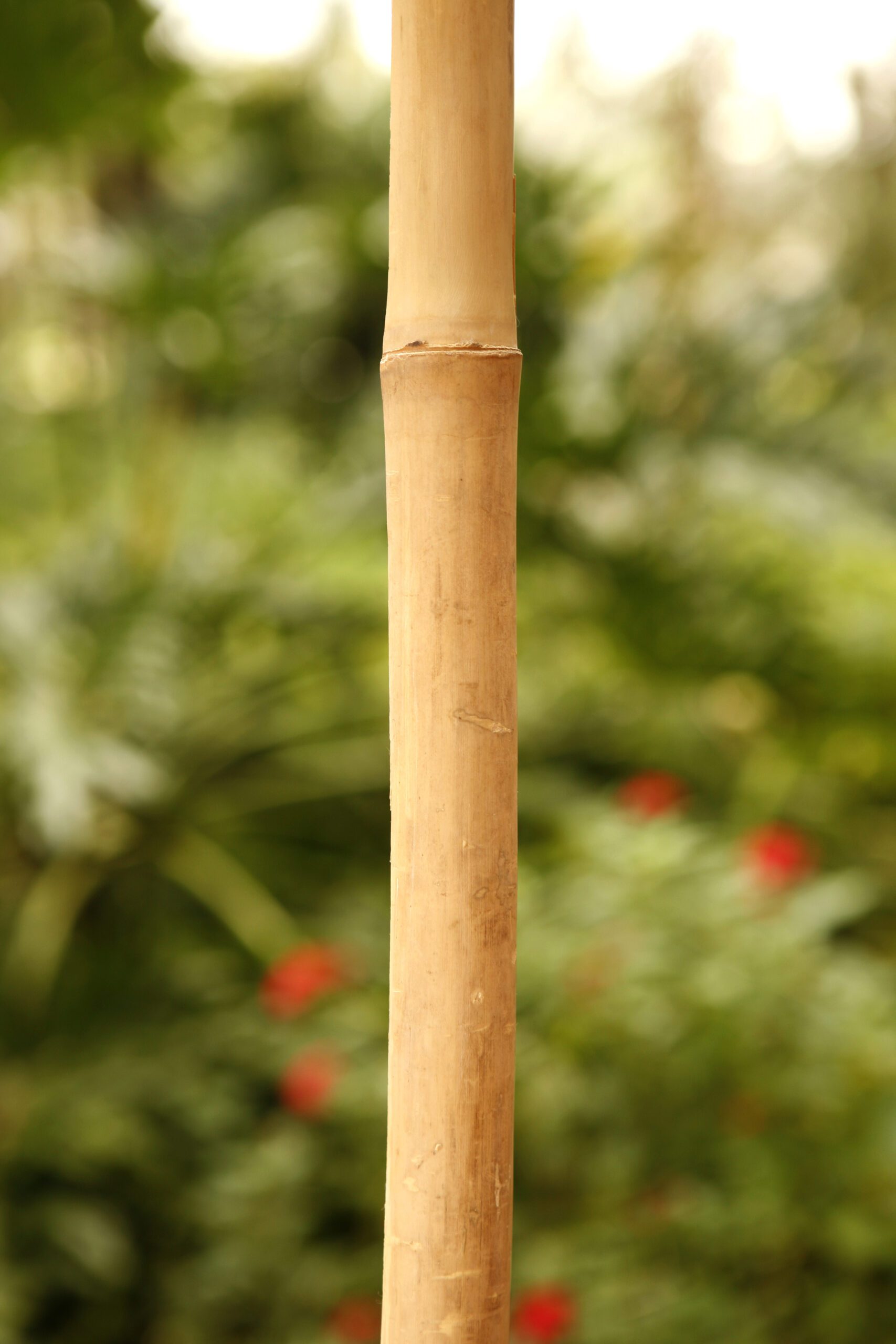 How Do I Choose Bamboo Pole Diameter and Length for a Commercial Build?