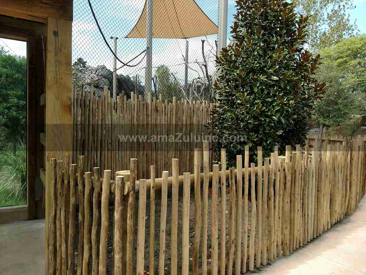 Jax Zoo Eucalyptus Fencing