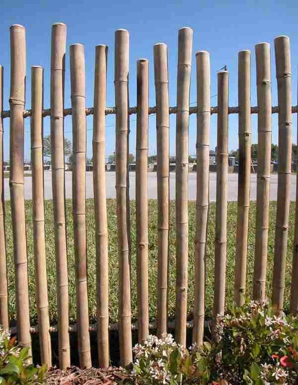 Rustic Bamboo Fence - 3