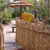Rustic Bamboo Fence - GKTW