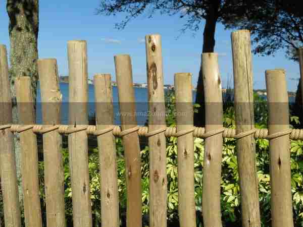 Rustic Eucy Fence PanelR