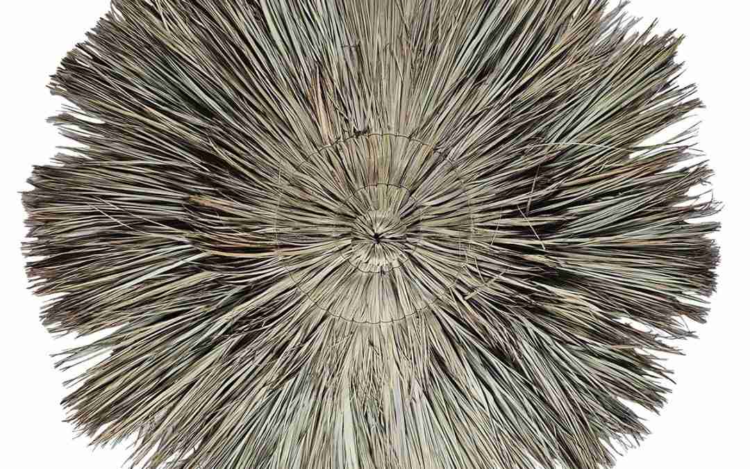 Natural vs Synthetic Thatch Roofing: Durability and Maintenance for Commercial Properties