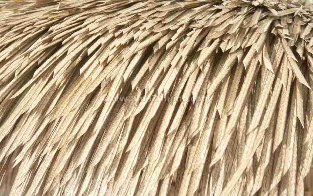 The Do’s and Don’ts of Synthetic Thatch in Theme Parks & Resorts