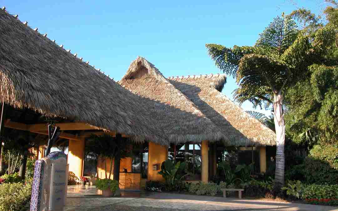 Incorporating Thatch into Theme Parks and Resorts