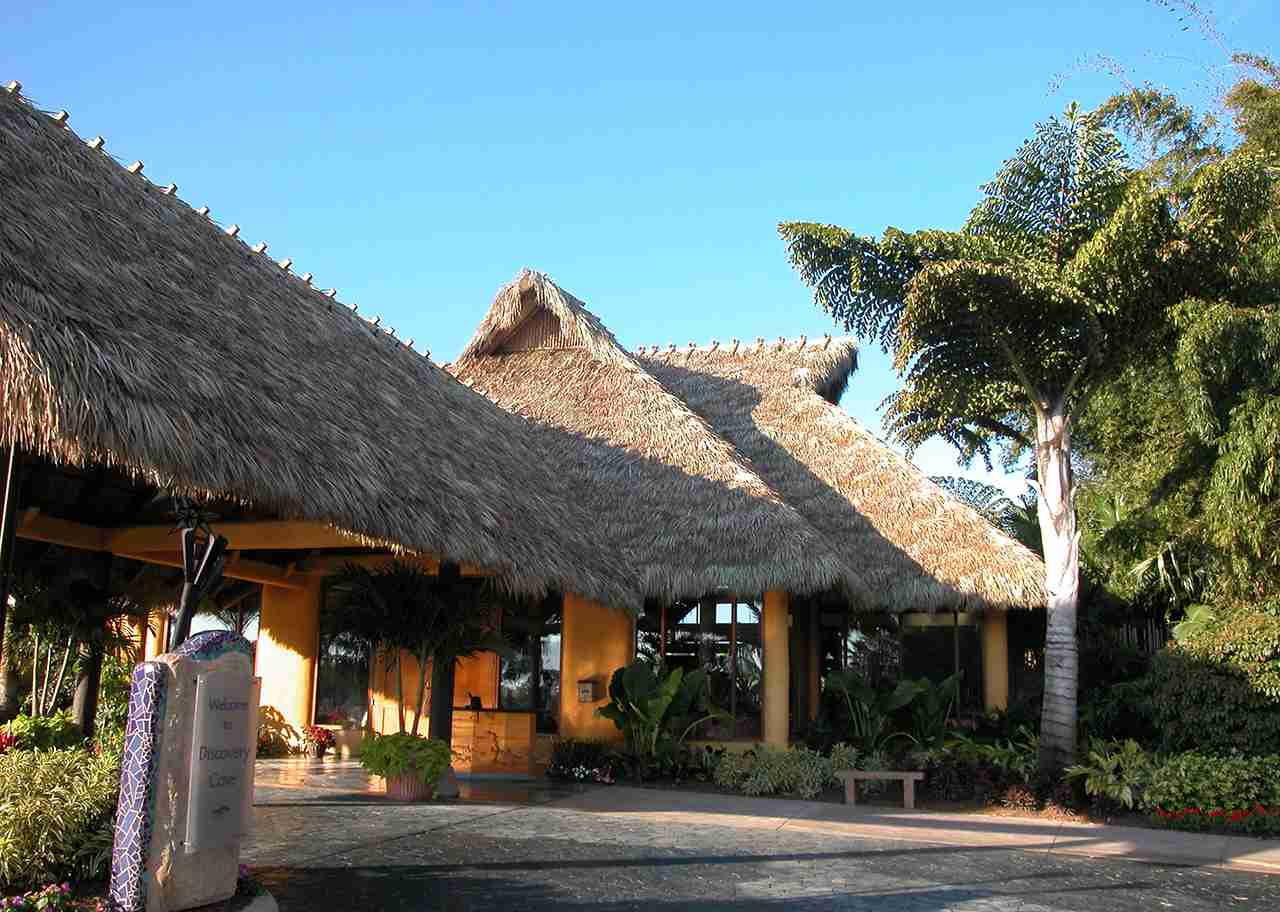 Incorporating Thatch into Theme Parks and Resorts