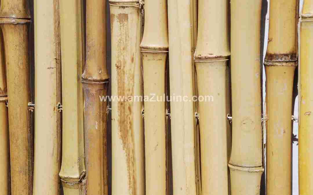 How to Choose a Bamboo Poles Supplier for Theme Park or Resort Projects