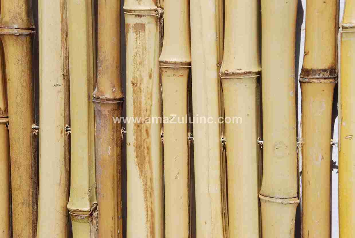 How to Choose a Bamboo Poles Supplier for Theme Park or Resort Projects