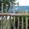 Tribal Eucy Fence - closeup