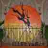 Tribal Fencing - Image 4