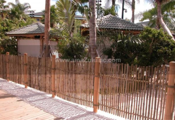 Rustic Bamboo fencing