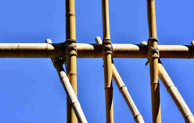 How Much Do Bamboo Poles Cost for Construction Projects?