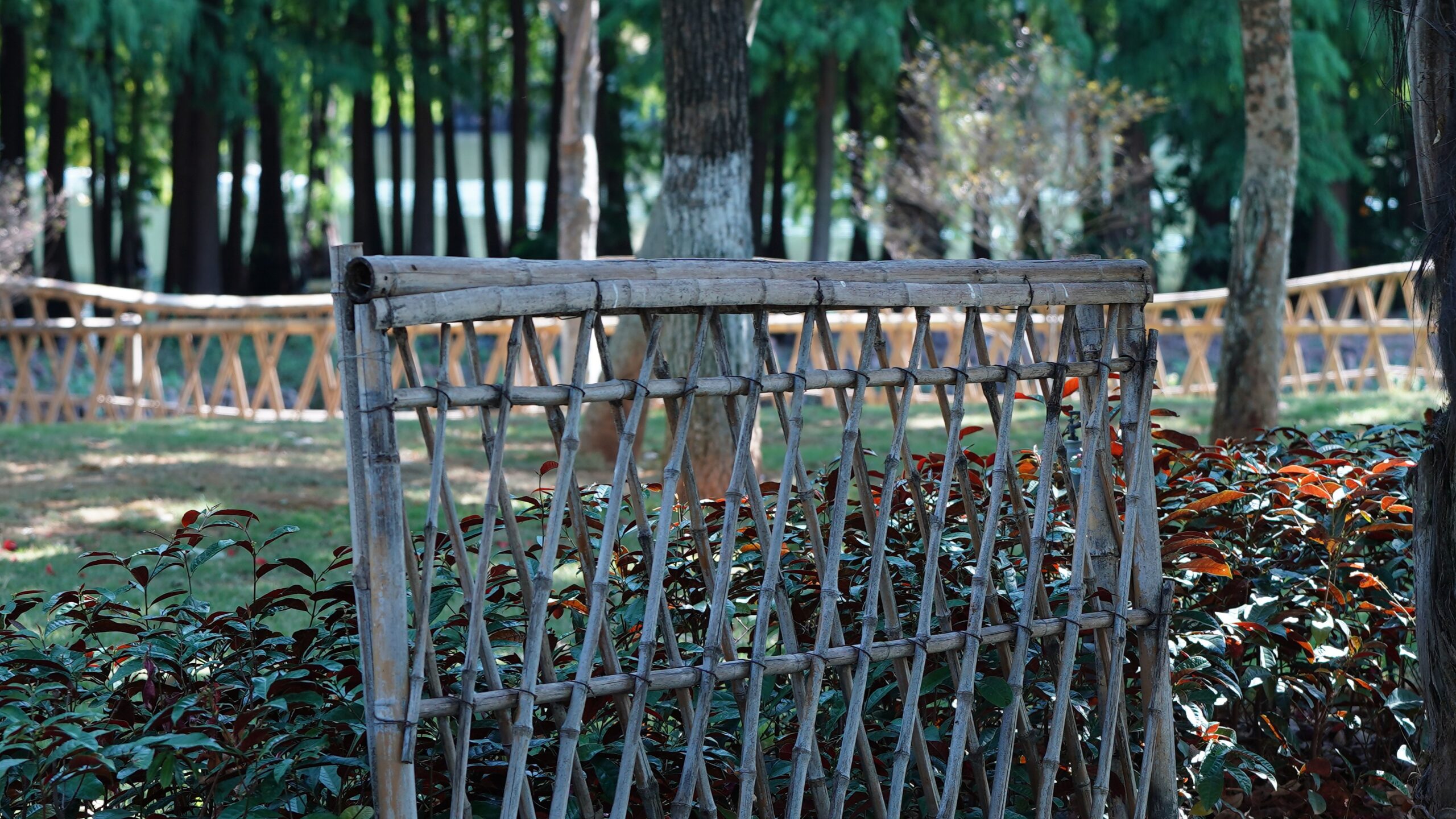 Bamboo Fencing vs. Bamboo Screening: What Commercial Buyers Should Know