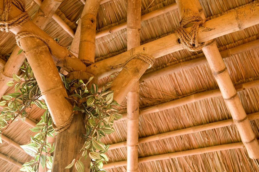 Bamboo installation 2