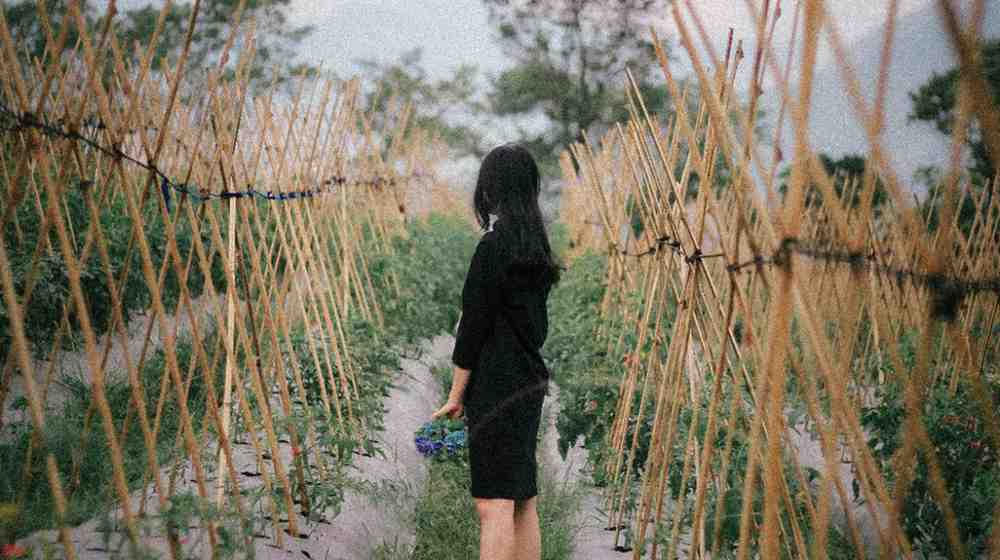 Common Bamboo Pole Installation Mistakes (and How to Avoid Them)