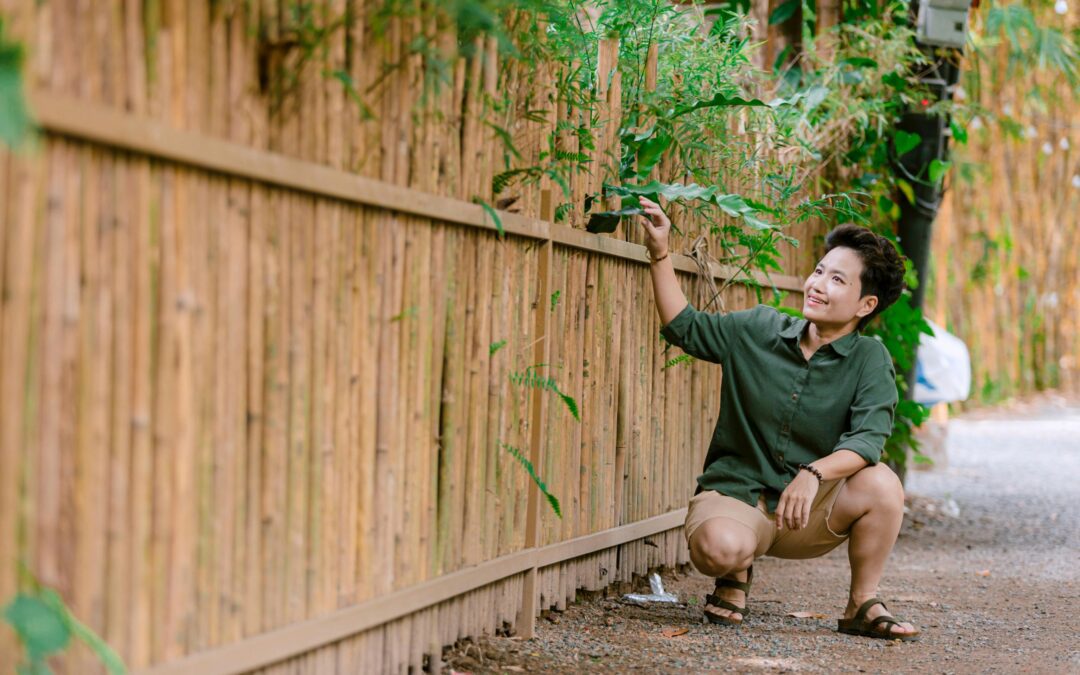 Bamboo Poles for Fencing vs Structural Applications
