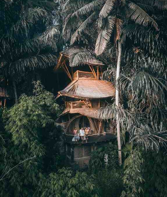 Bamboo Poles for Tropical Architecture: Authenticity vs Performance