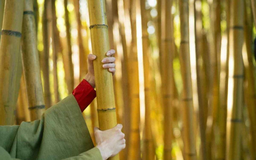 Natural Bamboo Poles vs Synthetic Bamboo Poles: Which Is Right for Your Project?