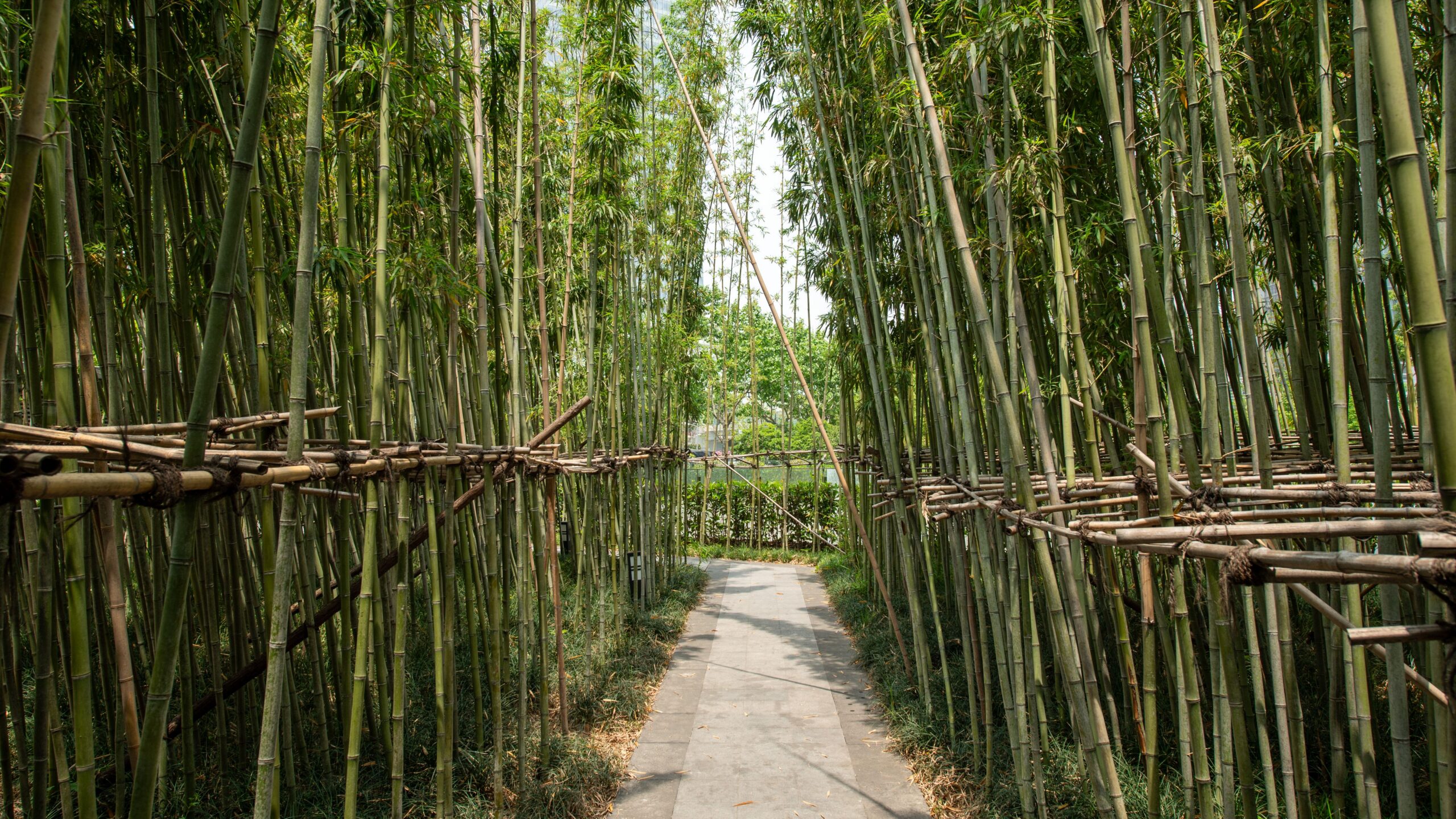 Bamboo Products for Theme Parks and Zoos