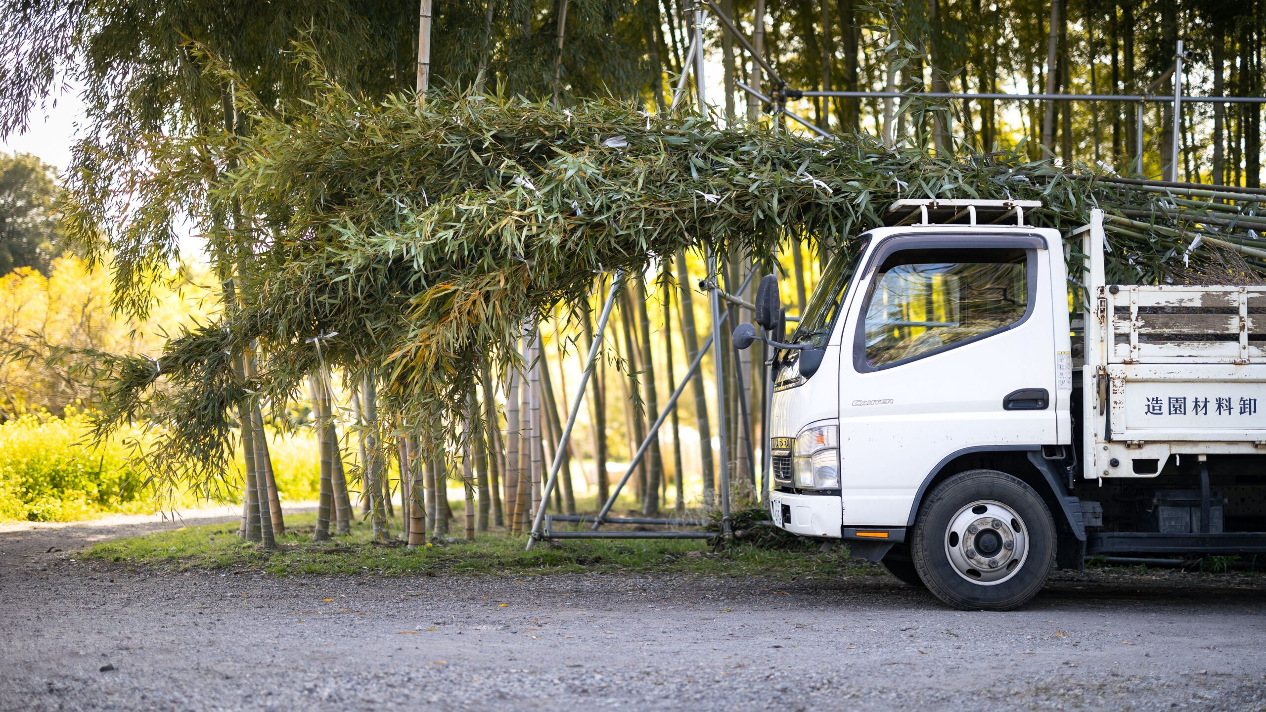 Bulk Bamboo Ordering Guide for Contractors, Designers, and Commercial Projects