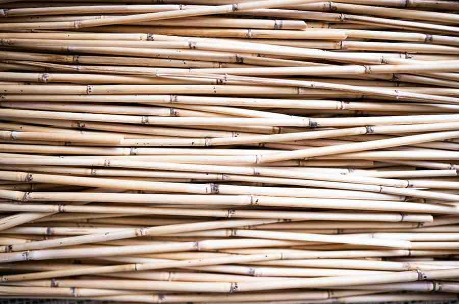 Bamboo Poles for Sale in Bulk: What Contractors Need to Know