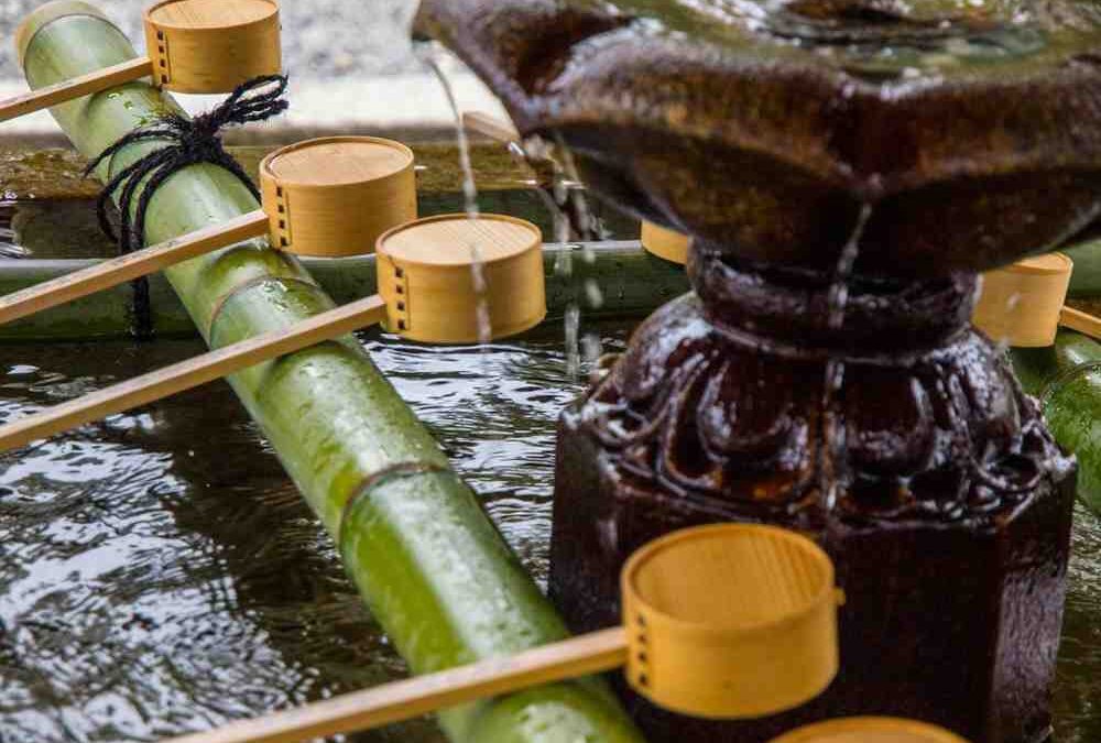 Why Commercial Projects Choose Bamboo Poles Over Traditional Materials