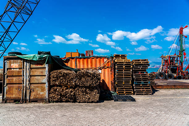 Commercial Bamboo Supplier Checklist for Architects, Designers, and Contractors