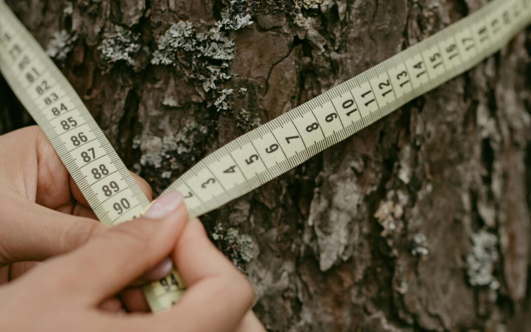 Eucalyptus Pole Lengths Explained for Architects and Fabricators