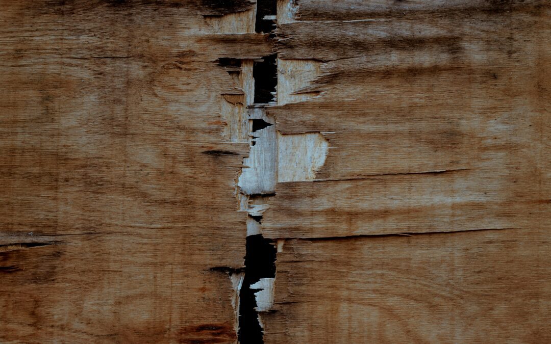 Common Mistakes in Eucalyptus Pole Specifications