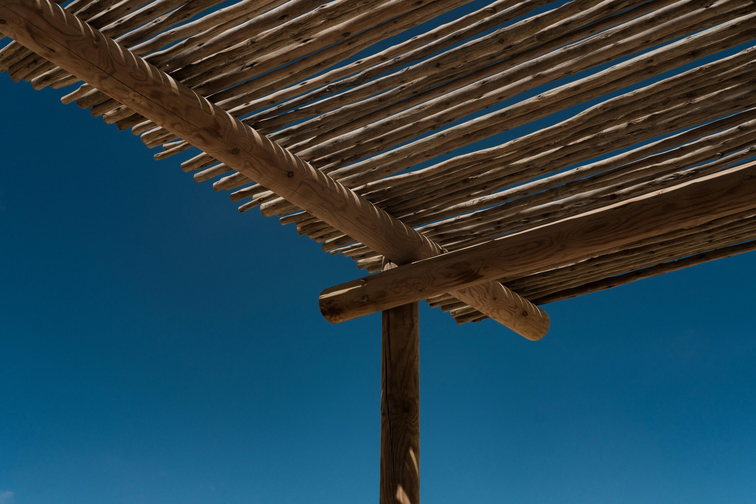Eucalyptus Poles for Shade Structures: What to Know Before You Spec
