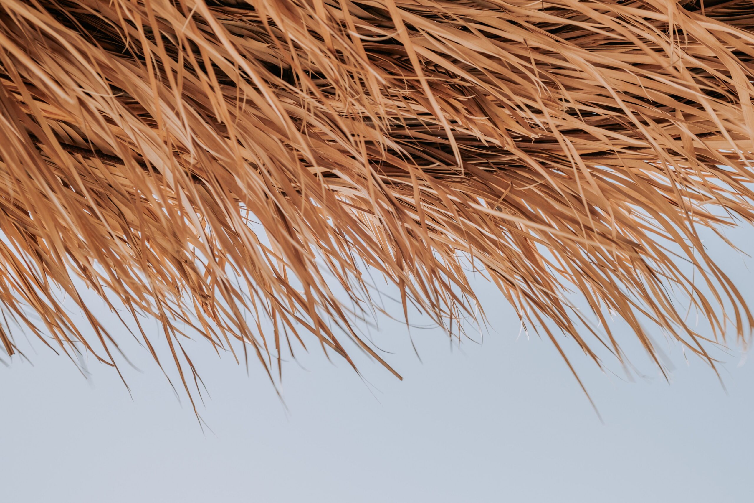 How Long Does Synthetic Thatch Last in Coastal or High-UV Climates?