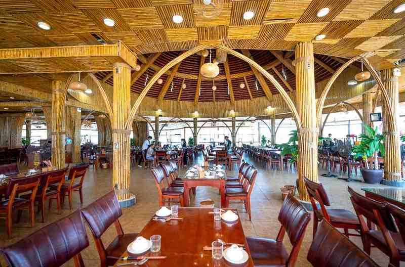 Sourcing and Specifying Large-Diameter Bamboo for Architectural Columns