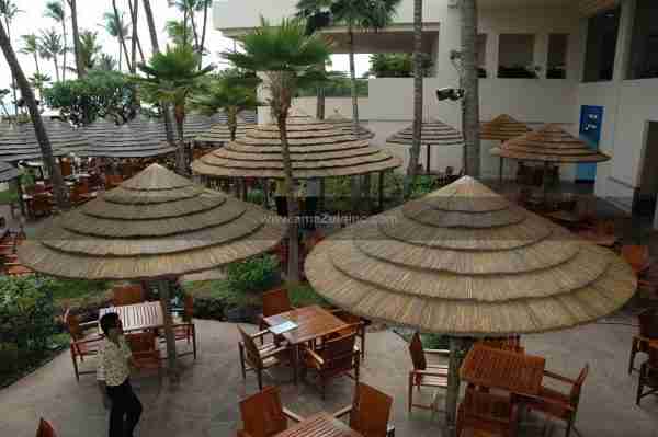 natural reed thatch umbrella