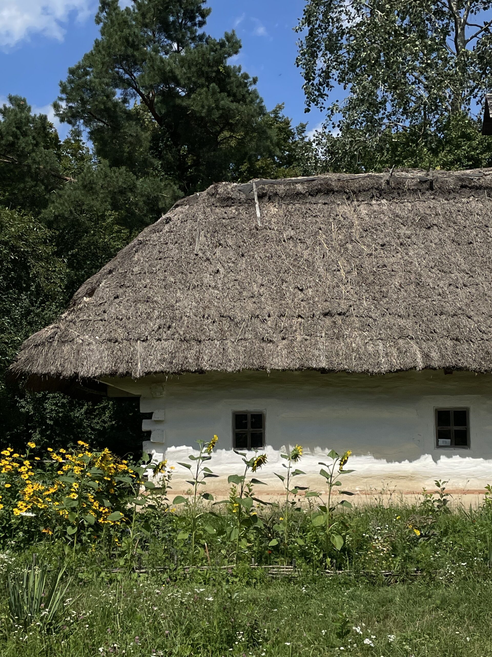 How Can I Improve Drainage and Ventilation on a Natural Thatch Roof?