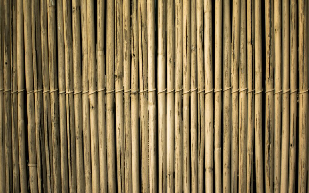 Reed and Bamboo Screening Rolls: Rapid Deployment for Privacy and Theming