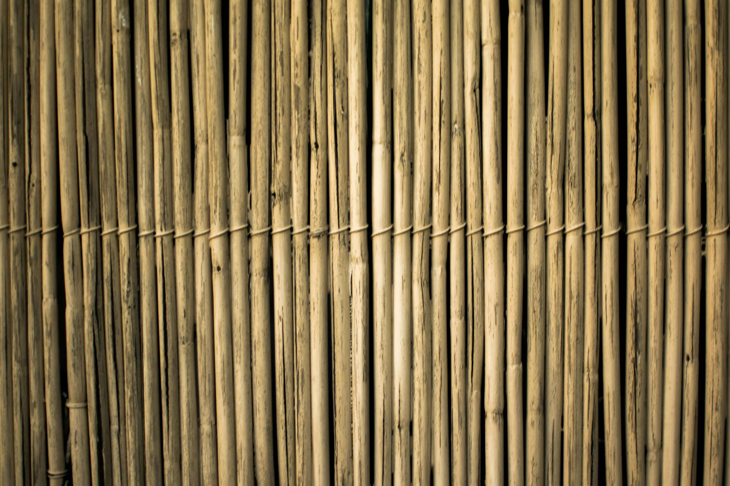 Reed and Bamboo Screening Rolls: Rapid Deployment for Privacy and Theming