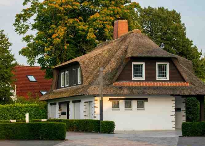 Optimizing Natural Thatch Roof Performance: Drainage, Ventilation, and Longevity for Commercial Designs