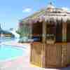 Tahiti Thatch - Image 9