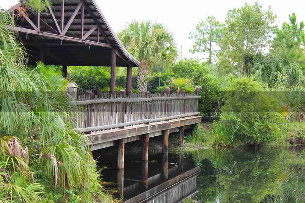 zoo viewing exhibit